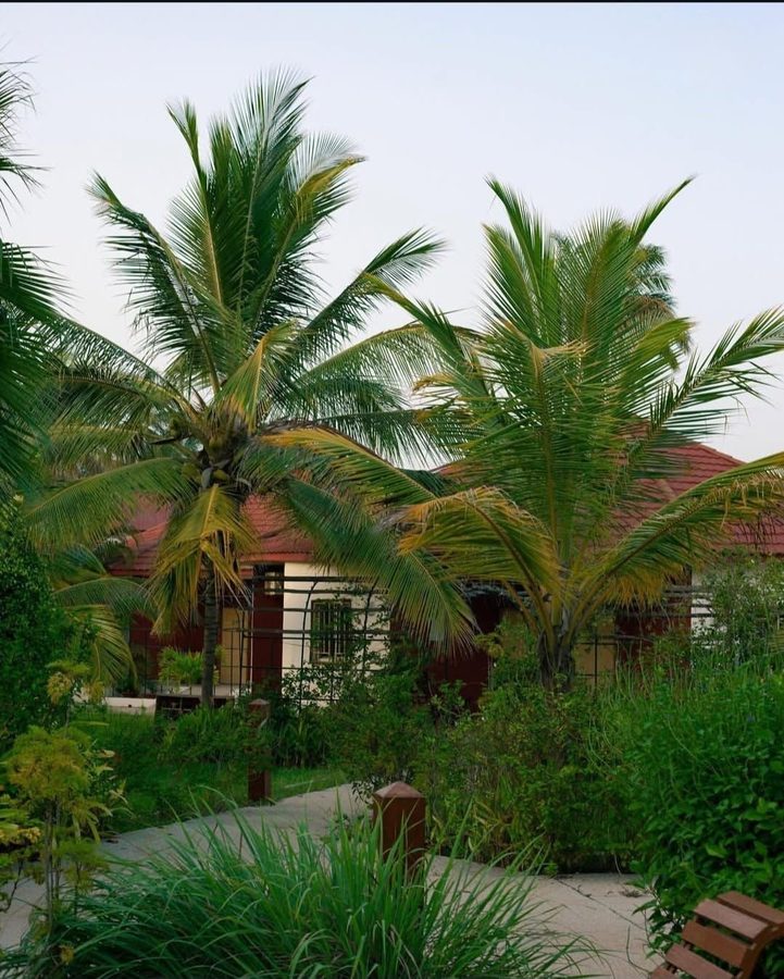 Tropical Planting