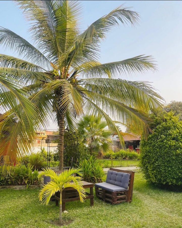 Lawns & Shade